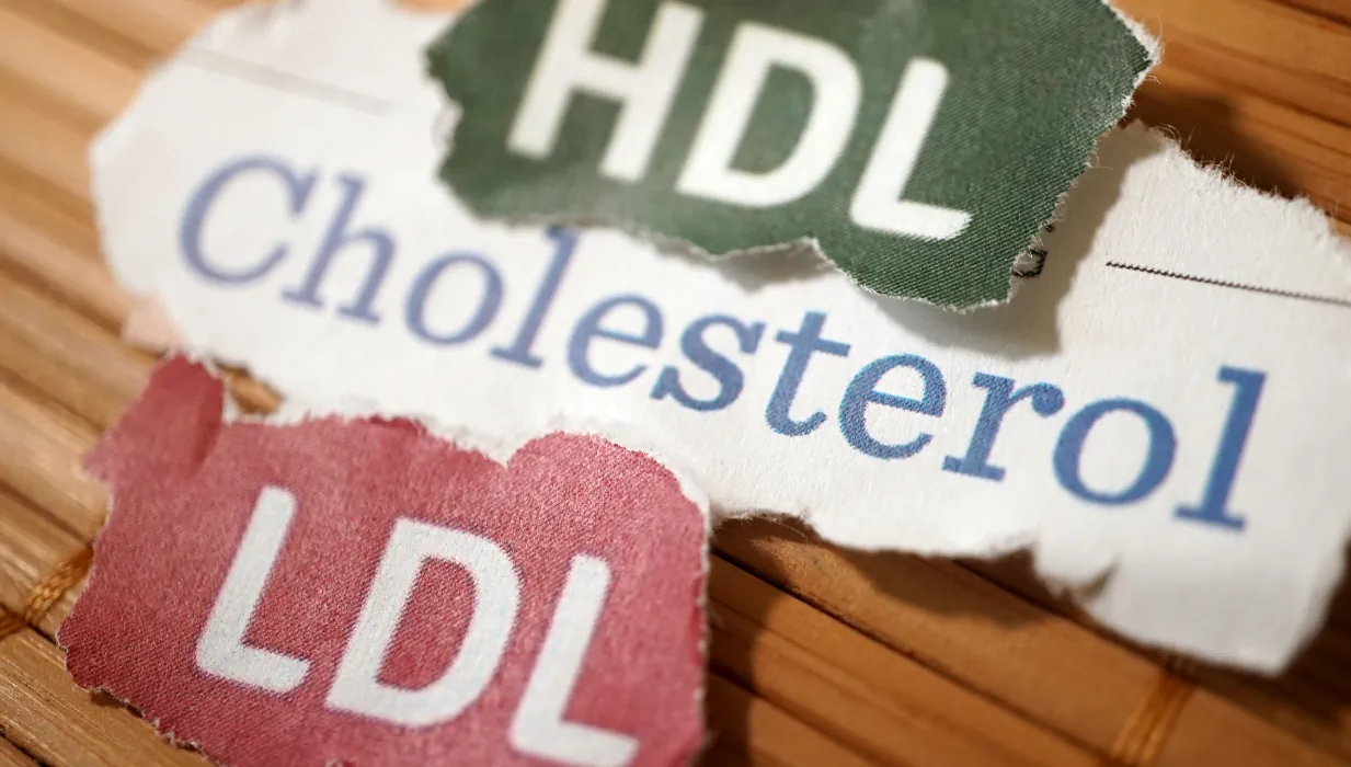 Cholesterol - HDL | LDL | VLDL