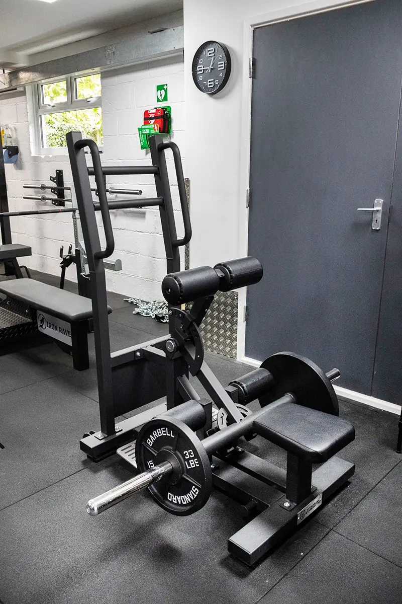 Hip extension machine at Sportive Tricks gym