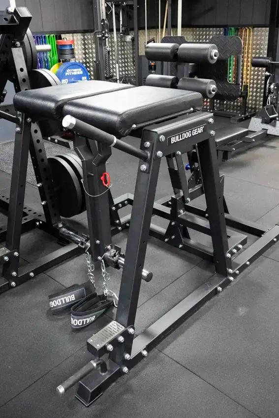 Reverse hyper machine at Sportive Tricks gym