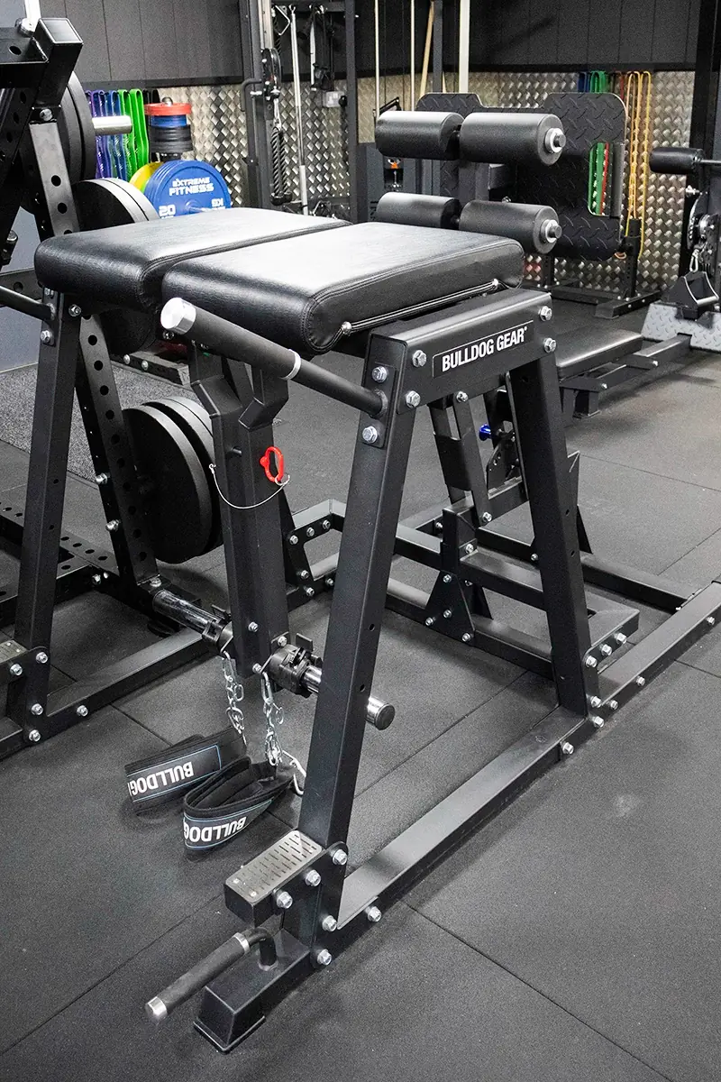 Reverse hyperextension machine at Sportive Tricks gym