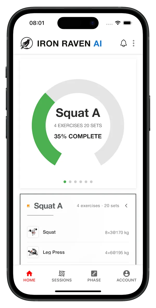 Iron Raven AI app on iPhone